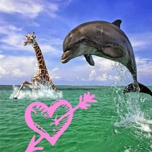 Meet your Posher, Gabriella